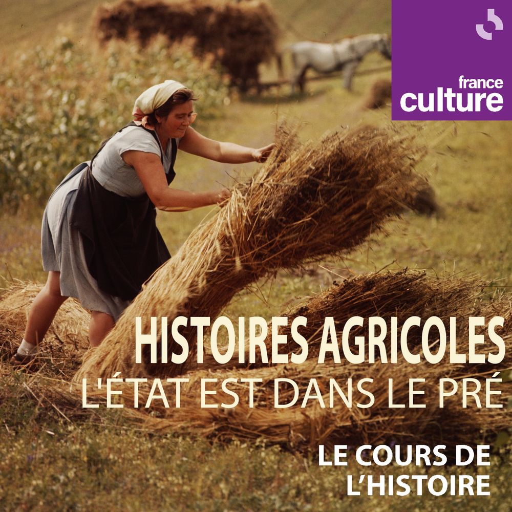 Photographie d'une femme faisant les moissons pour illustrer la série d'émissions du Cours de l'histoire de Xavier Mauduit sur France Culture