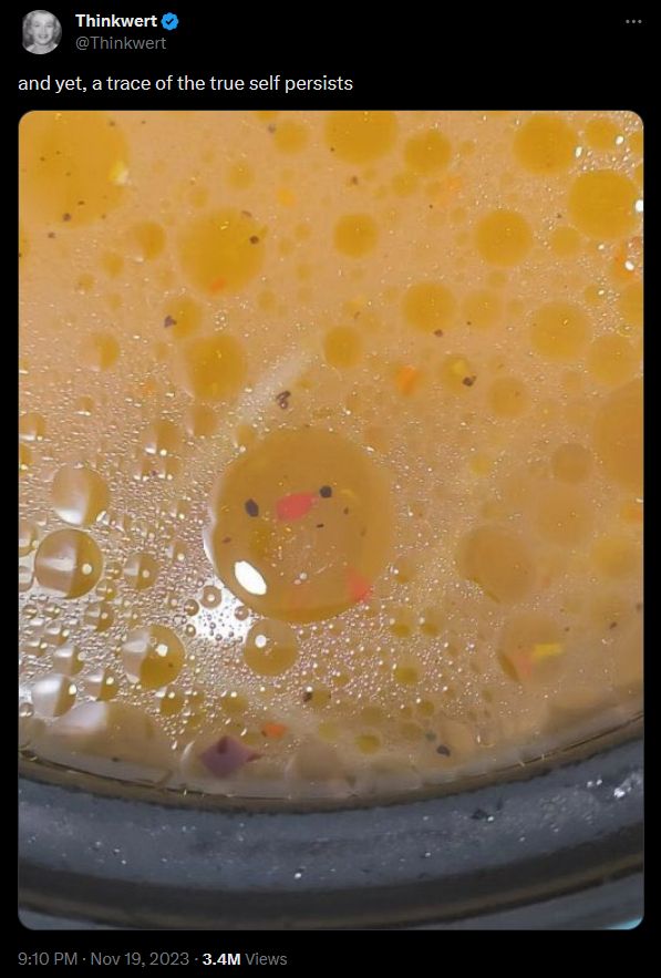 A Tweet from @ Thinkwert from 9:10 pm on November 19, 2023: "and yet, a trace of the true self persists"
Following the text is a close-up image of a container of soup. Within a large bubble of broth are flecks of pepper and carrot that make the bubble appear as if there is a small chick floating in chicken broth.