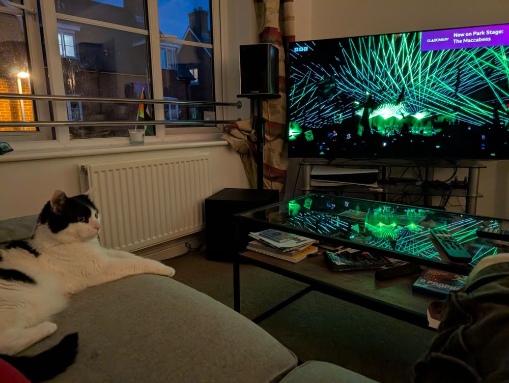 A black and white cat watching The Prodigy on TV
