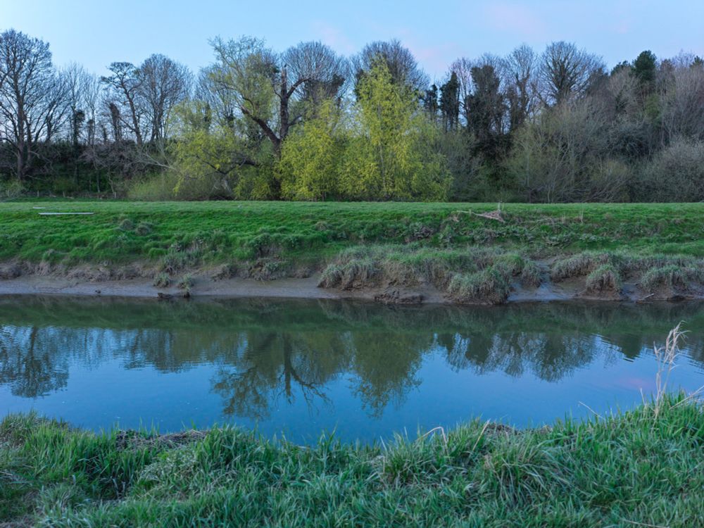 a photograph showing some trees across a river. the sky is a blueish purple colour. the water is very still, showing the reflection of the trees
