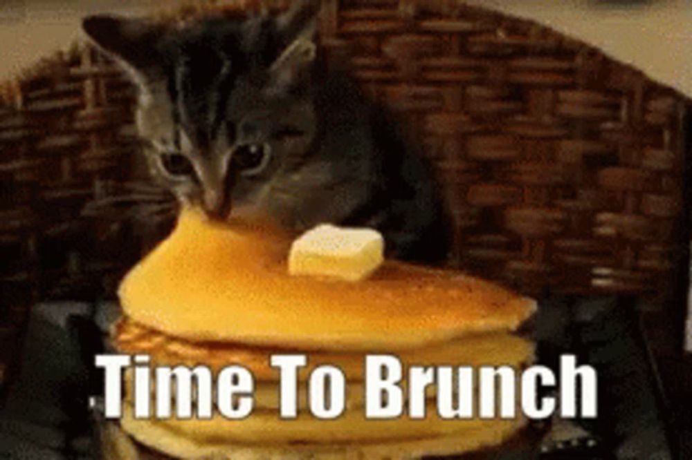 a kitten is sitting on top of a stack of pancakes with the words time to brunch written below it