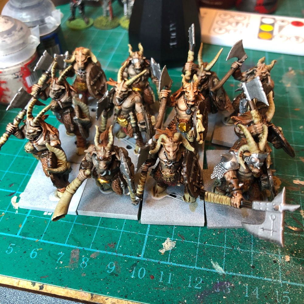 Warhammer the old world twelve Gors basecoated. 