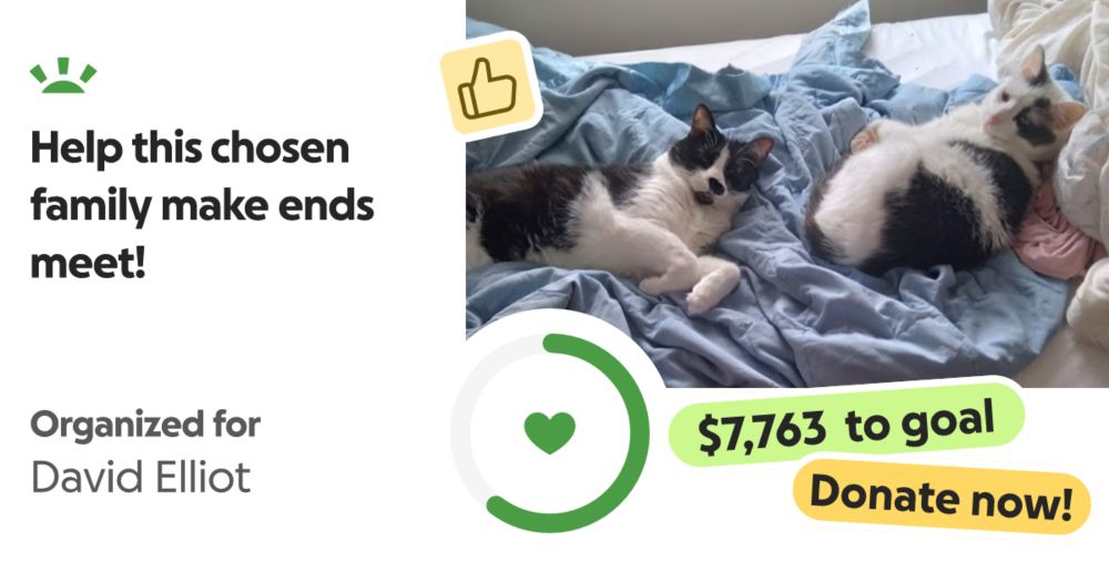 The short story:




Three humans (and our two cats) have had a string of bad l… Rosemary Amico needs your support for Help this chosen family make ends meet!