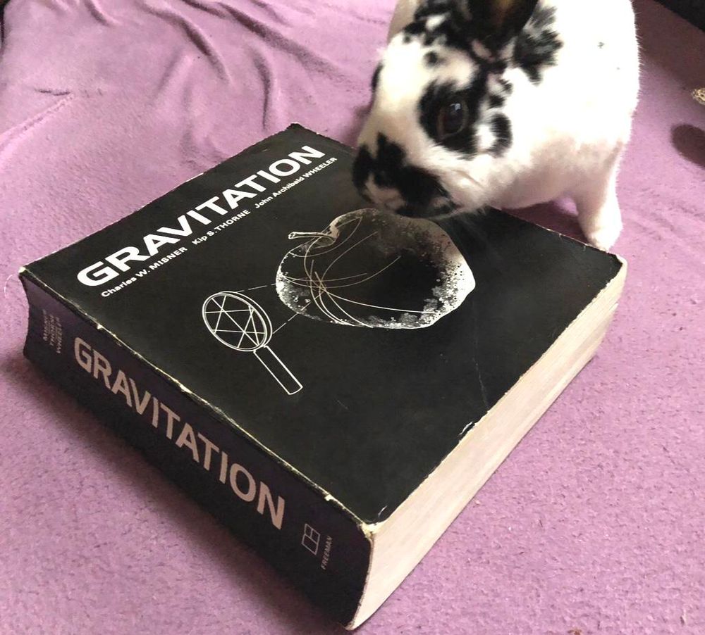 Small white and black rabbit seen beside a very large black book with a picture of a magnifying glass and an apple on the front. The title is Gravitational
