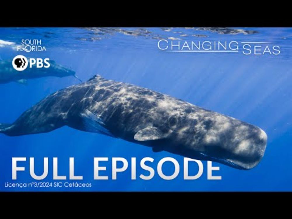 Whales in a Plastic Ocean - Full Episode