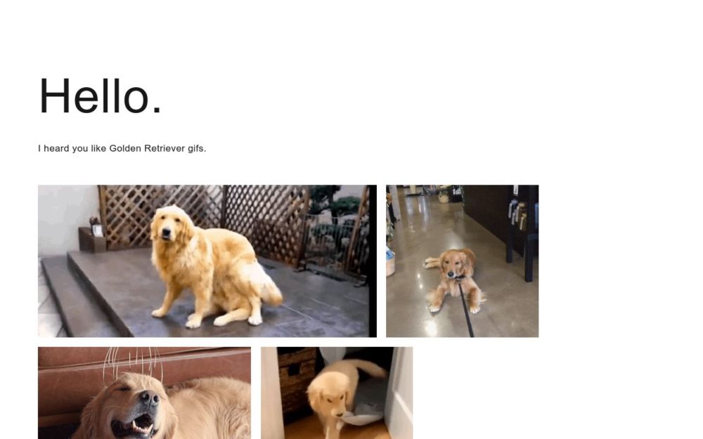 Literally just Golden Retriever gifs.