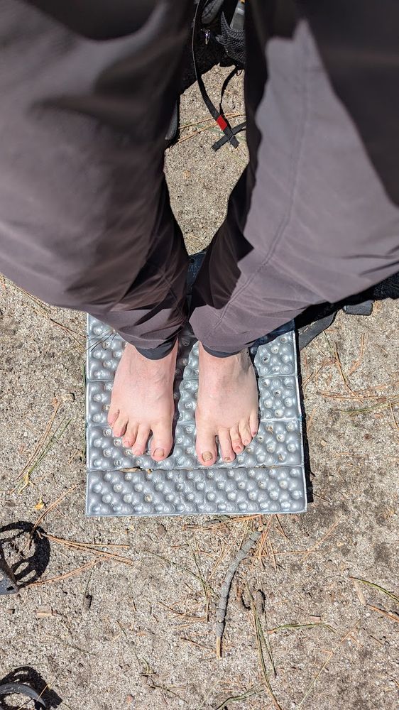 PCT 2025 feet of feetforbrains