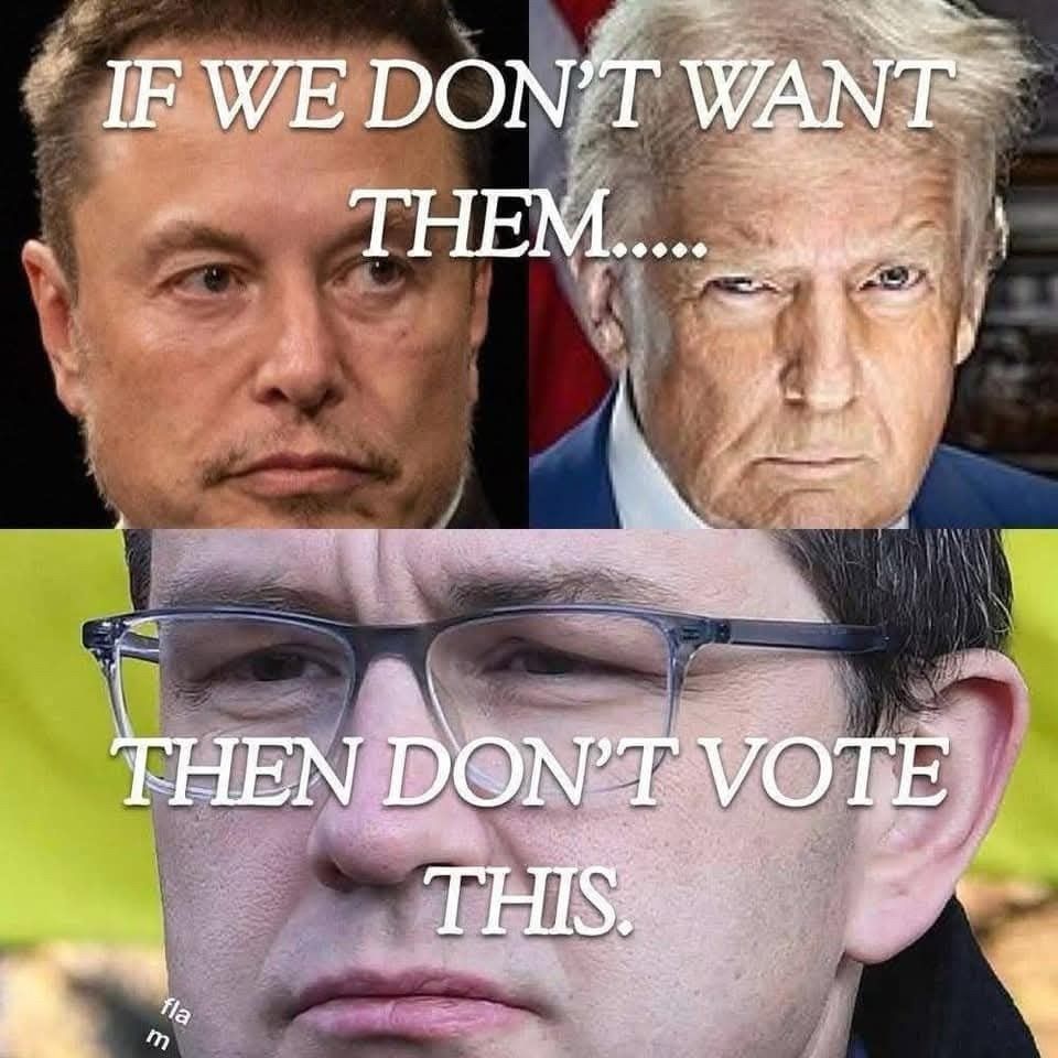 Top: Images of Musk and Trump with overwritten caption,”If you don’t want this…” Bottom: Image of Poilievre with overwritten caption, “Then don’t vote this.”
