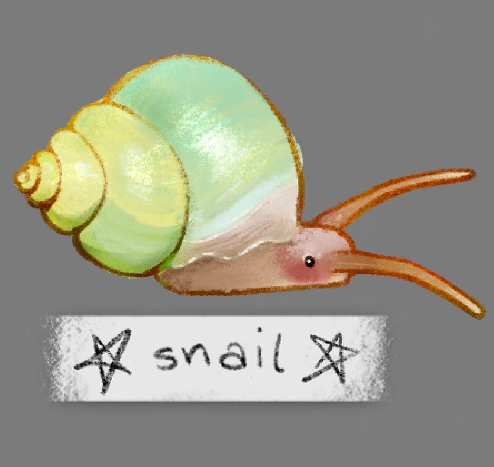 a drawing of a snail! the snail itself is pink with rosy cheeks, tiny black eyes, and long antenna. its shell is green, yellow, and blue. below the snail is a slip of paper that says “snail” with two stars beside it 