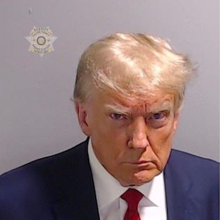 Donald Trump's mug shot.  