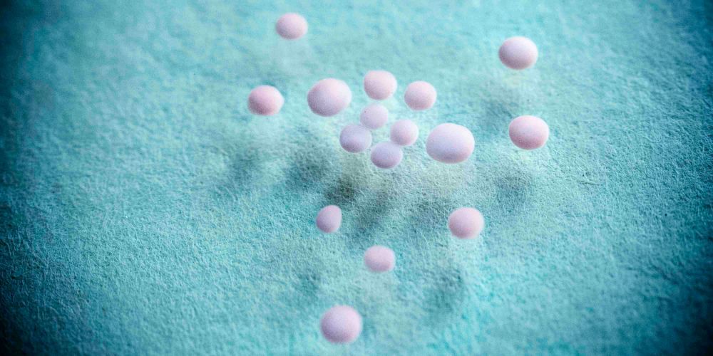 Organoids