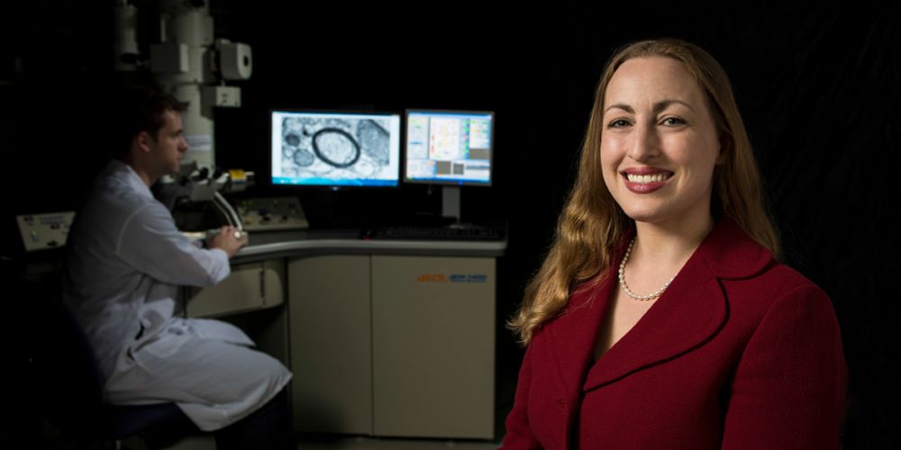 Michelle Monje’s lab has used electron microscopy to study rings of myelin surrounding an axon.