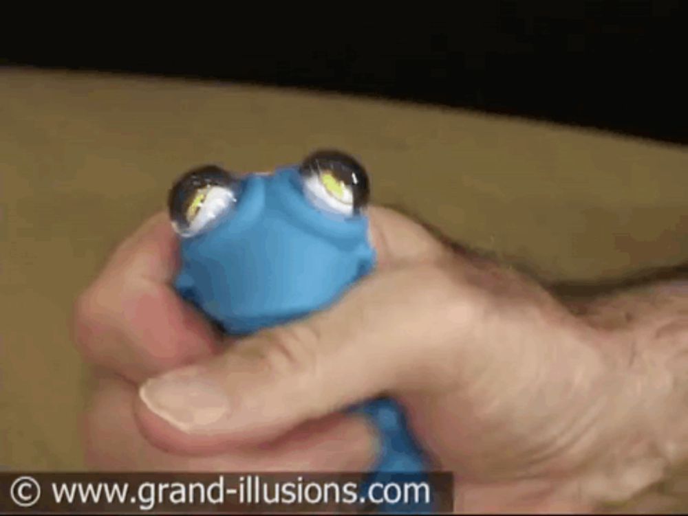 a person is holding a blue toy with googly eyes and the website grand-illusions.com is visible in the background