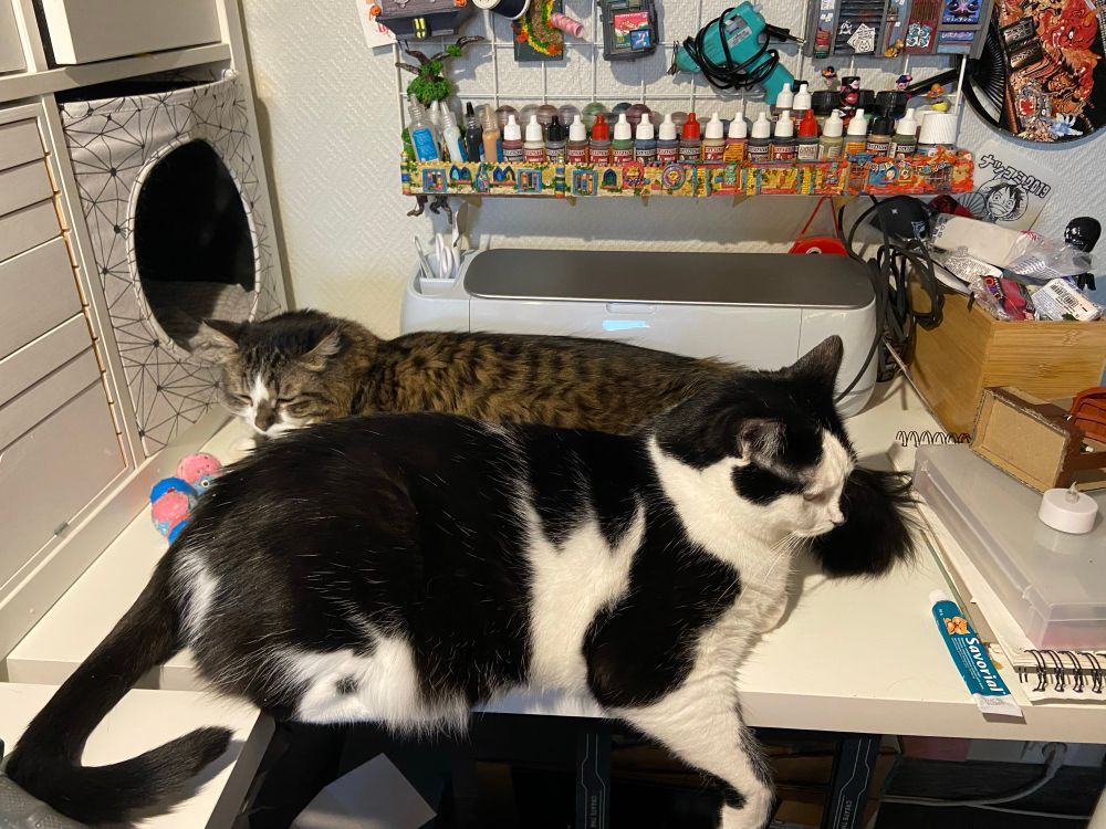 Photo de mes deux chats en train de chiller, allongés paisiblement tête à Q, sur mon bureau. Le premier est noir et blanc poils courts (façon Félix) et la deuxième est tigré marron et noir poils longs