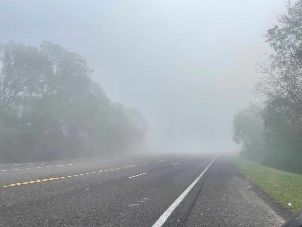 Dense fog over an East Texas roadway
