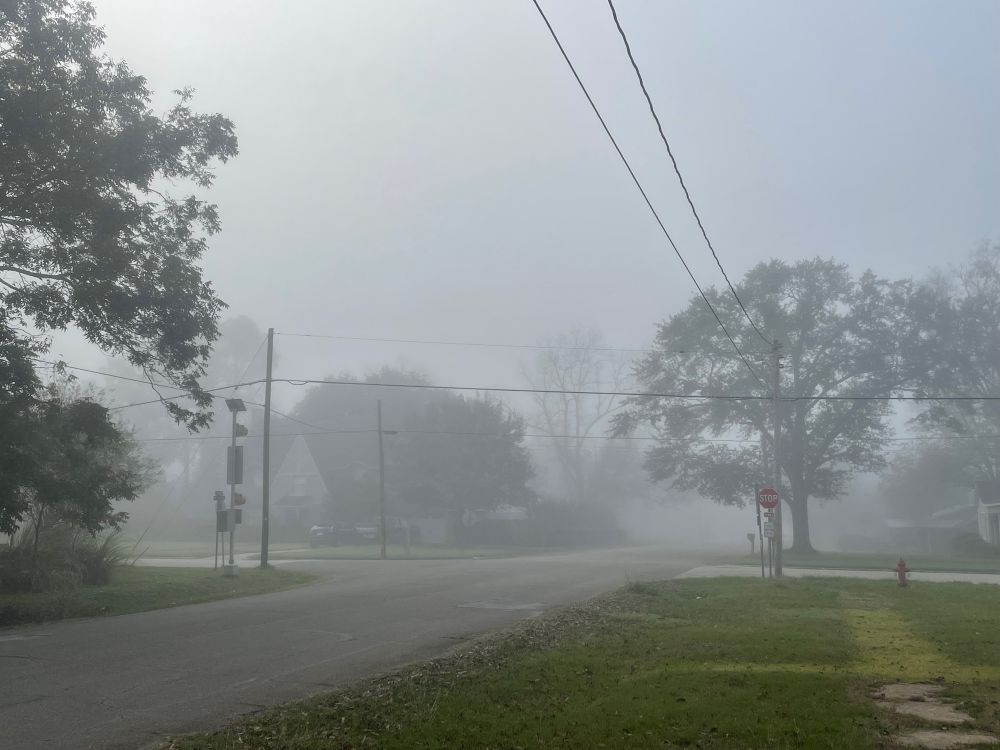 Dense fog in East Texas