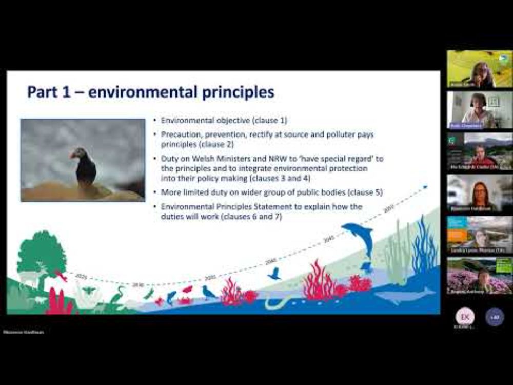 Webinar: The new Environmental Governance Bill: what does it mean for public bodies?
