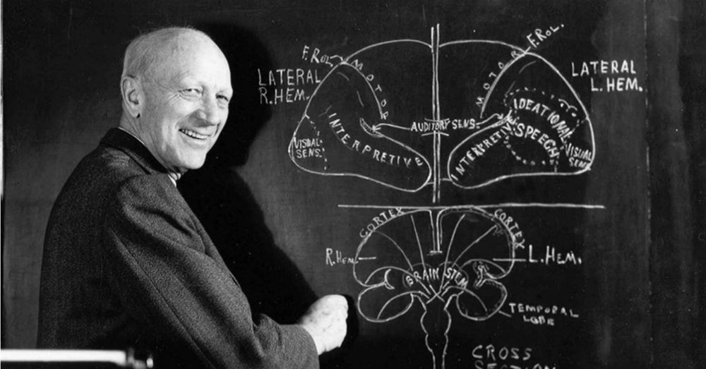 This black-and-white photo depicts an individual standing in front of a chalkboard, pointing to a detailed diagram of the human brain. Here are the details:

Subject: The person is dressed in a suit jacket, suggesting a formal or academic setting. They are standing to the left side of the image, with their right hand pointing or gesturing towards the diagram on the chalkboard.
Chalkboard Diagram: The diagram on the chalkboard illustrates a cross-section of the brain, with labels indicating various functions and regions:
Lateral R. Hem. (Right Hemisphere) and Lateral L. Hem. (Left Hemisphere) are written on the top left and right respectively.
Various functions are labeled within the brain regions, such as:
"Motor" for motor functions.
"Visual Sens." for visual sensory processing.
"Auditory Sens." for auditory sensory processing.
"Interpreative" for interpretative functions.
"Ideational" for ideational processes.
"Speech" for speech functions.
