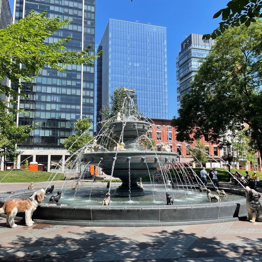 A multi-tiered fountain in an urban park features water jets and sculptures of various dog breeds around its base and upper levels. The fountain is surrounded by paved walkways, benches with people sitting, and green trees. Tall modern glass skyscrapers and older brick buildings rise in the background under a clear blue sky.