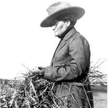 The black-and-white historical photograph depicts E. Cora Hind, a pioneering Canadian agricultural journalist and the renowned "Oracle of Wheat," standing in a wheat field. She is dressed in period attire, including a wide-brimmed cowboy hat, round wire-rimmed glasses, a high-collared shirt, and a long woolen coat, with her hair pinned up. Hind is shown in profile view, facing slightly to the side with a serious expression, as she examines and holds a sheaf of mature wheat stalks in her hands, illustrating her hands-on method of crop yield assessment. The background consists of a vast expanse of wheat field under an open sky, emphasizing her fieldwork expertise.