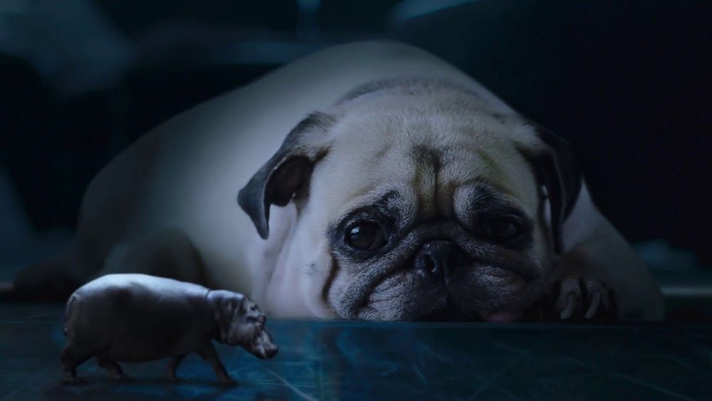 House hippo 2.0