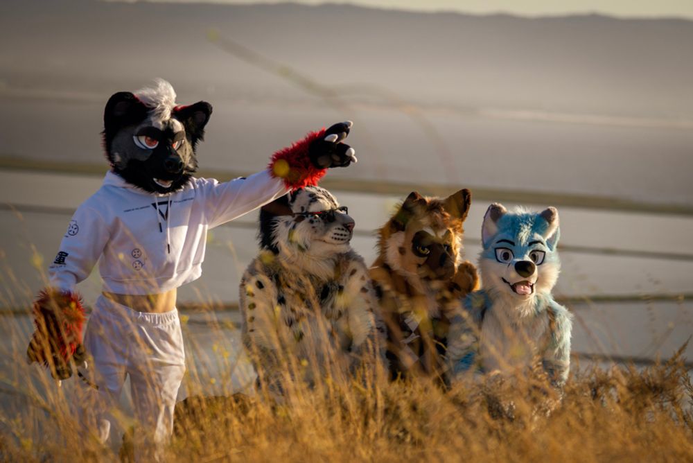 Standing on the left side of the image, a hyena fursuiter wearing a white crop top and pants points his paw to the upper right. Three fursuiters--a snow leopard, a german shepherd, and a cotton candy blue dog, sit behind him gazing in the direction of the pointed hand. Long dry grass composes the foreground, and the San Francisco Bay with mountains on the opposing side compose the background.
