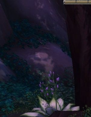 shadow on a rock that looks suspiciously like shrek