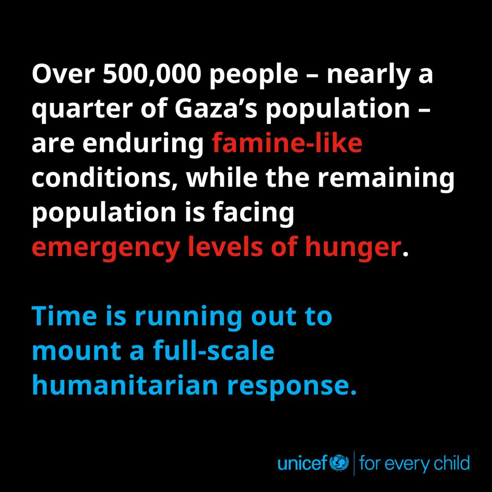 Over 500,000 people – nearly a quarter of Gaza’s population – are enduring famine-like conditions, while the remaining population is facing emergency levels of hunger.

Time is running out to mount a full-scale humanitarian response.
