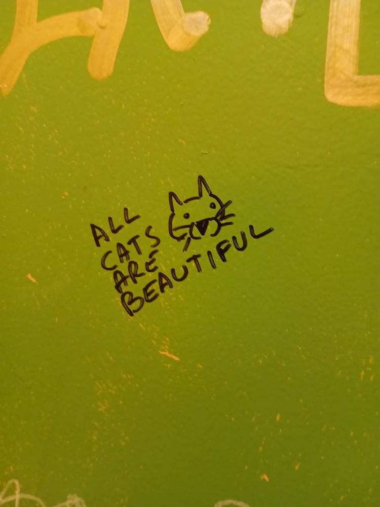 Graffiti: All Cats Are Beautiful w a cartoon cat