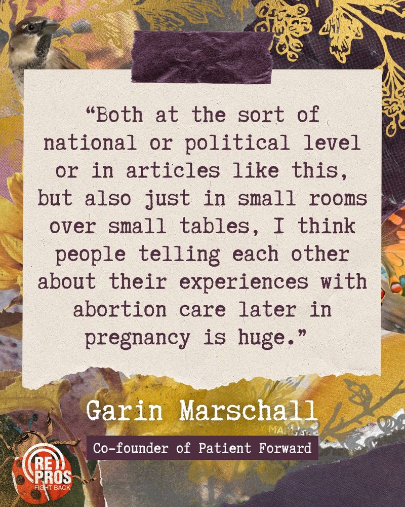 Quote graphic featuring gold, yellow, and dark purple paper scrapbook elements in the background, as well as a sunflower, ladybug, and sparrow. The quote reads, in a typewriter-inspired typeface: “Both at the sort of national or political level or in articles like this, but also just in small rooms over small tables, I think people telling each other about their experiences with abortion care later in pregnancy is huge.” The quote is attributed to Garin Marschall, co-founder of Patient Forward.