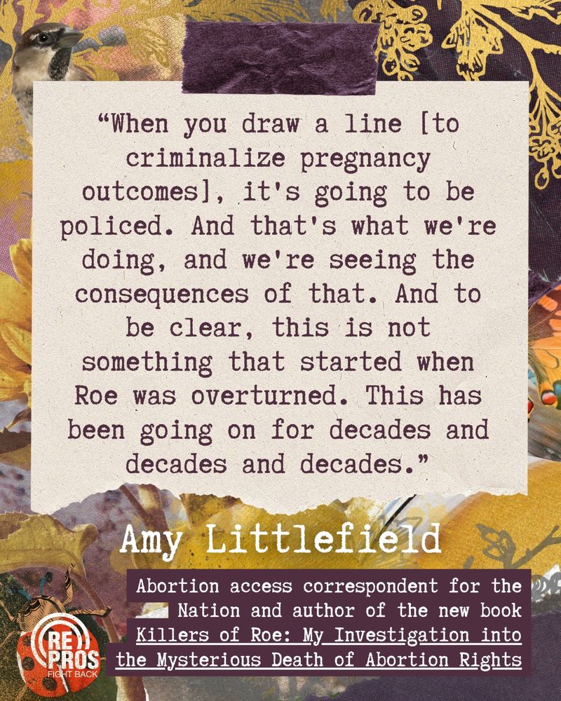 Quote graphic featuring gold, yellow, and dark purple paper scrapbook elements in the background, as well as a sunflower, ladybug, and sparrow. The quote reads, in a typewriter-inspired typeface: “When you draw a line [to criminalize pregnancy outcomes], it's going to be policed. And that's what we're doing, and we're seeing the consequences of that. And to be clear, this is not something that started when Roe was overturned. This has been going on for decades and decades and decades.” The quote is attributed to Amy Littlefield, abortion access correspondent for the Nation and author of the new book Killers of Roe: My Investigation into the Mysterious Death of Abortion Rights.