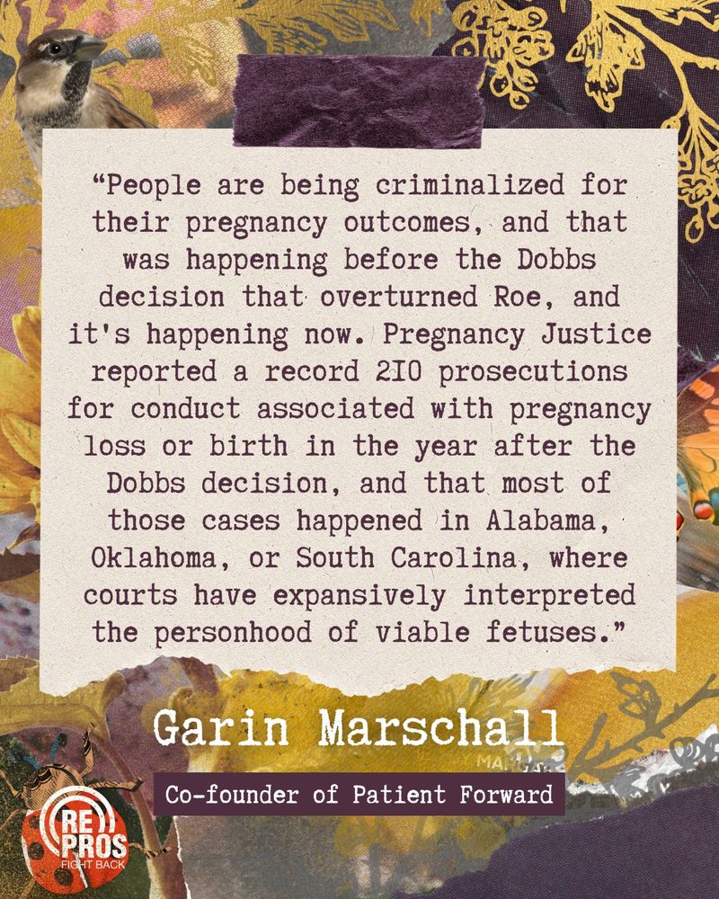 Quote graphic featuring gold, yellow, and dark purple paper scrapbook elements in the background, as well as a sunflower, ladybug, and sparrow. The quote reads, in a typewriter-inspired typeface: “People are being criminalized for their pregnancy outcomes, and that was happening before the Dobbs decision that overturned Roe, and it's happening now. Pregnancy Justice reported a record 210 prosecutions for conduct associated with pregnancy loss or birth in the year after the Dobbs decision, and that most of those cases happened in Alabama, Oklahoma, or South Carolina, where courts have expansively interpreted the personhood of viable fetuses.” The quote is attributed to Garin Marschall, co-founder of Patient Forward.