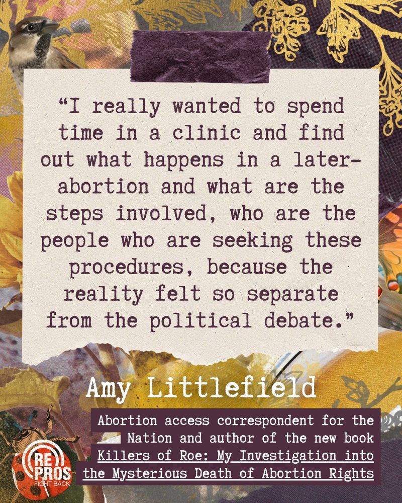 Quote graphic featuring gold, yellow, and dark purple paper scrapbook elements in the background, as well as a sunflower, ladybug, and sparrow. The quote reads, in a typewriter-inspired typeface: “I really wanted to spend time in a clinic and find out what happens in a later-abortion and what are the steps involved, who are the people who are seeking these procedures, because the reality felt so separate from the political debate.” The quote is attributed to Amy Littlefield, abortion access correspondent for the Nation and author of the new book Killers of Roe: My Investigation into the Mysterious Death of Abortion Rights.