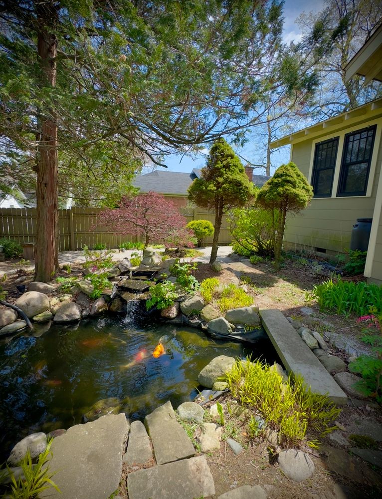 My garden finally arriving!