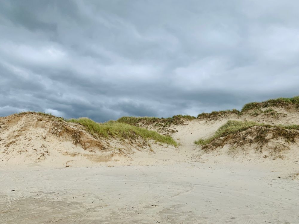 Dünen mit grünem Grassaum an der oberen Abbruchkante, darüber bewölkter Himmel.