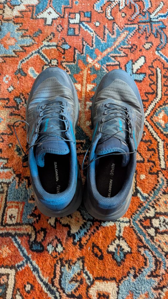 A pair of walking shoes on an old, central Asian rug. 