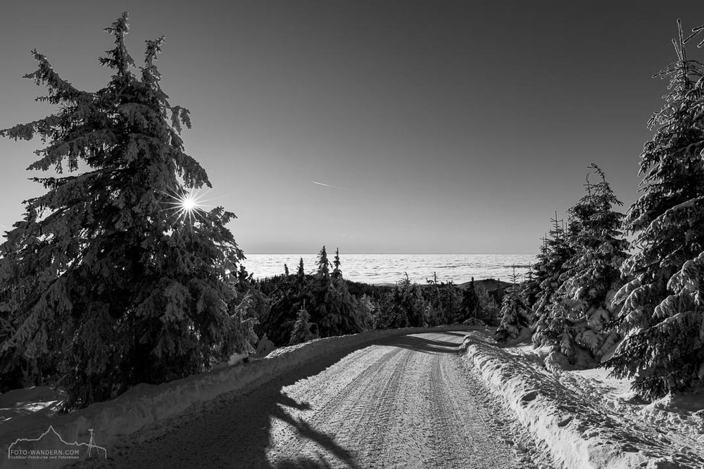 The black and white photo shows a snow-covered road winding through a forest. The trees are covered in snow. On the horizon you can see a blanket of clouds that looks like a sea. The sun is shining through the trees.