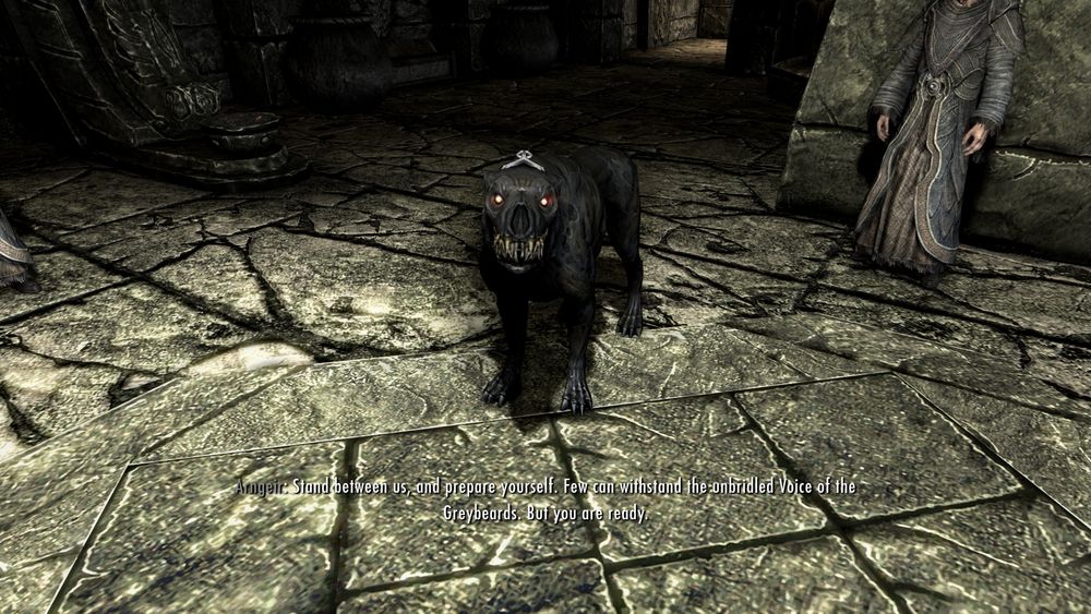 screenshot from skyrim of a black hell hound demon dog that i got for becoming a vampire lord