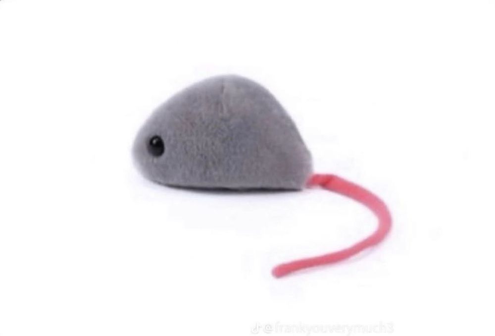 smol mouse cat toy (me) 