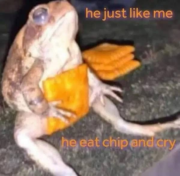 a brown and tan frog sitting up holding a cheezit and looking up kinda sad with the words "he just like me he eat chip and cry"