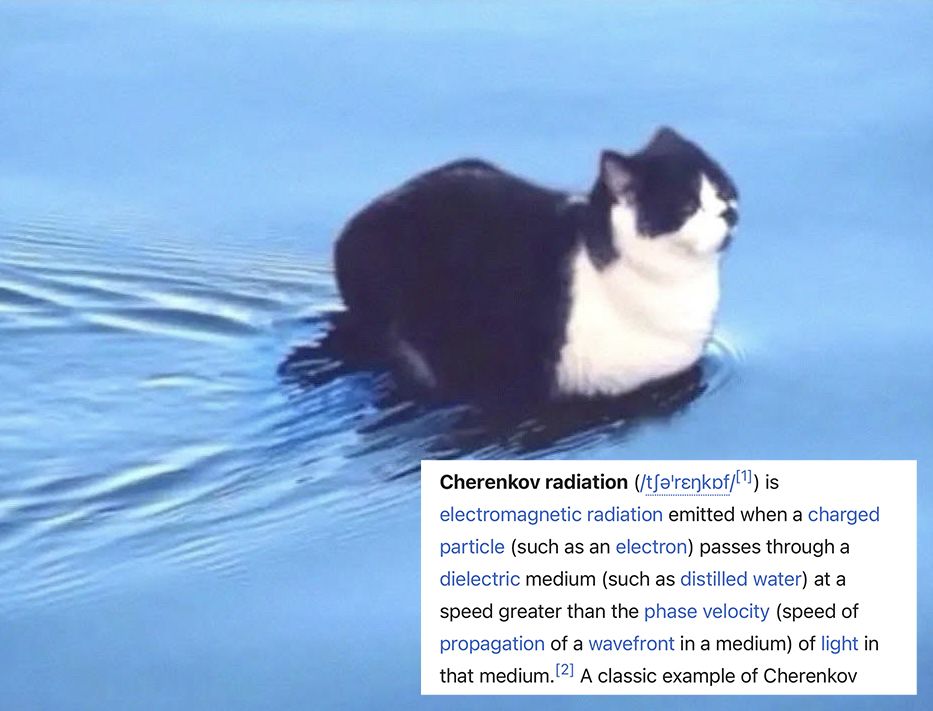 cat sitting in very shallow but moving water… looks like they’re cruising 

Wikipedia text:

Cherenkov radiation (/tarankof/(') is electromagnetic radiation emitted when a charged particle (such as an electron) passes through a dielectric medium (such as distilled water) at a speed greater than the phase velocity (speed of propagation of a wavefront in a medium) of light in that medium. 2) A classic example of Cherenkov