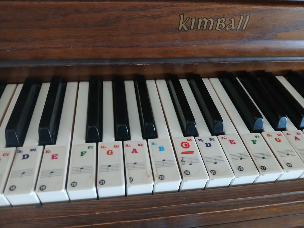 A photo of a piano's keys 