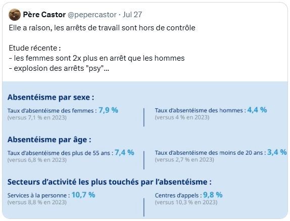 Capture d'écran du tweet cité, à savoir : https://twitter.com/pepercastor/status/1949363641087853042