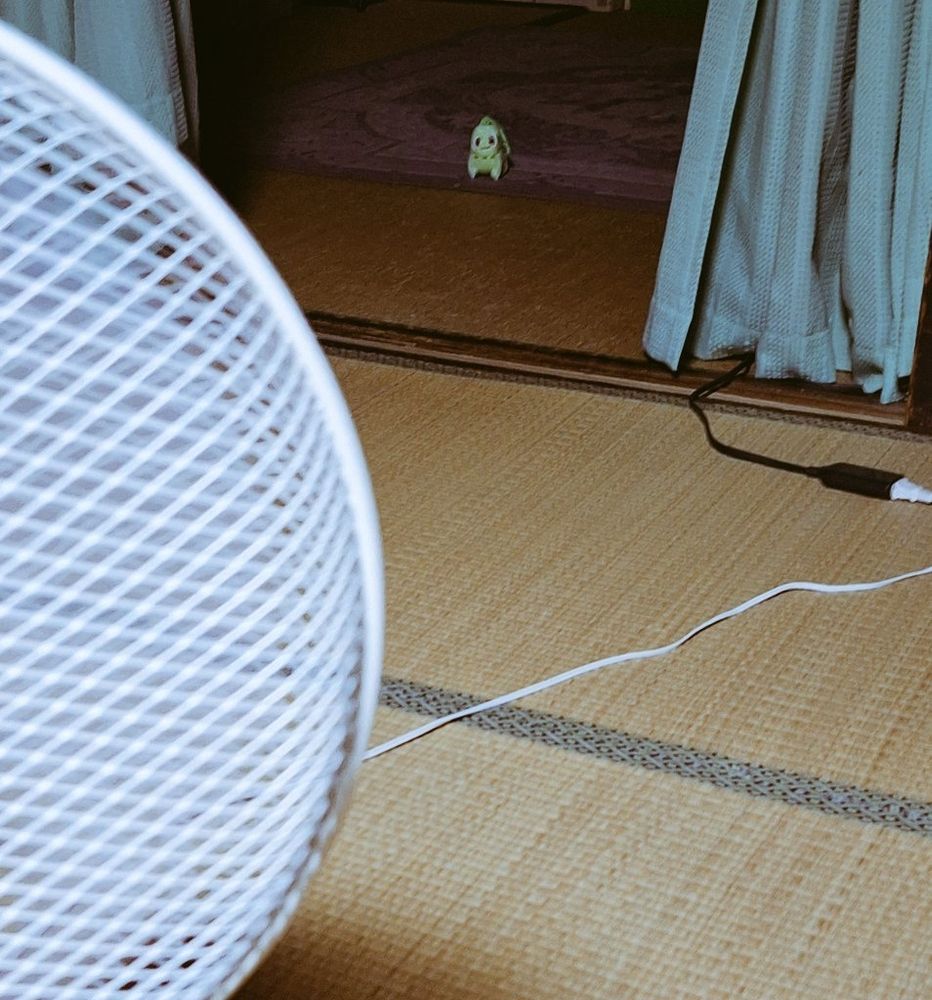 古民家の部屋で撮られた、扇風機にあたる人の一人称視点のような写真で、隣室から覗くチコリータ(カラビナ付きマスコット)を写しています。