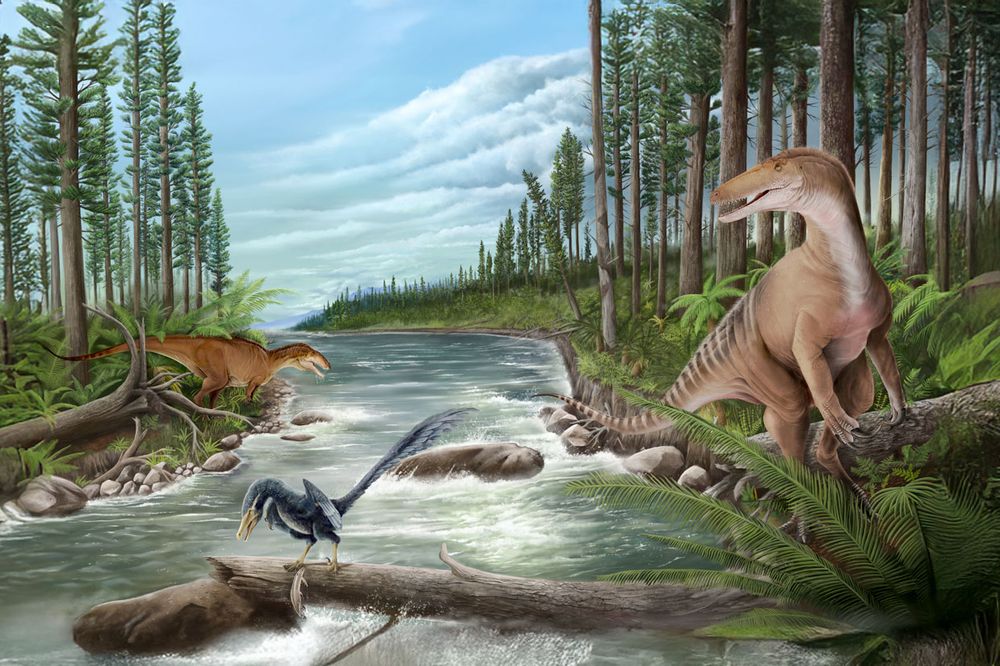 Image depicts the carcharodontosaur in ancient Gondwana