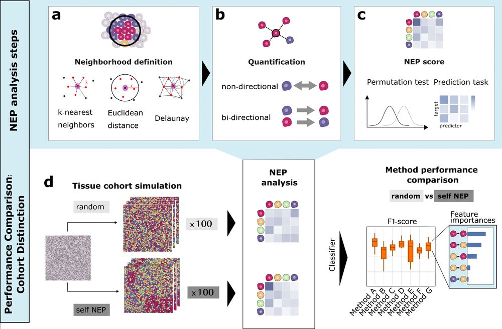 Schematic overview of NEP analysis steps (Neighborhood definition, Quantification and NEP score) and the systematic method performance comparison using simulated data for cohort distinction.
