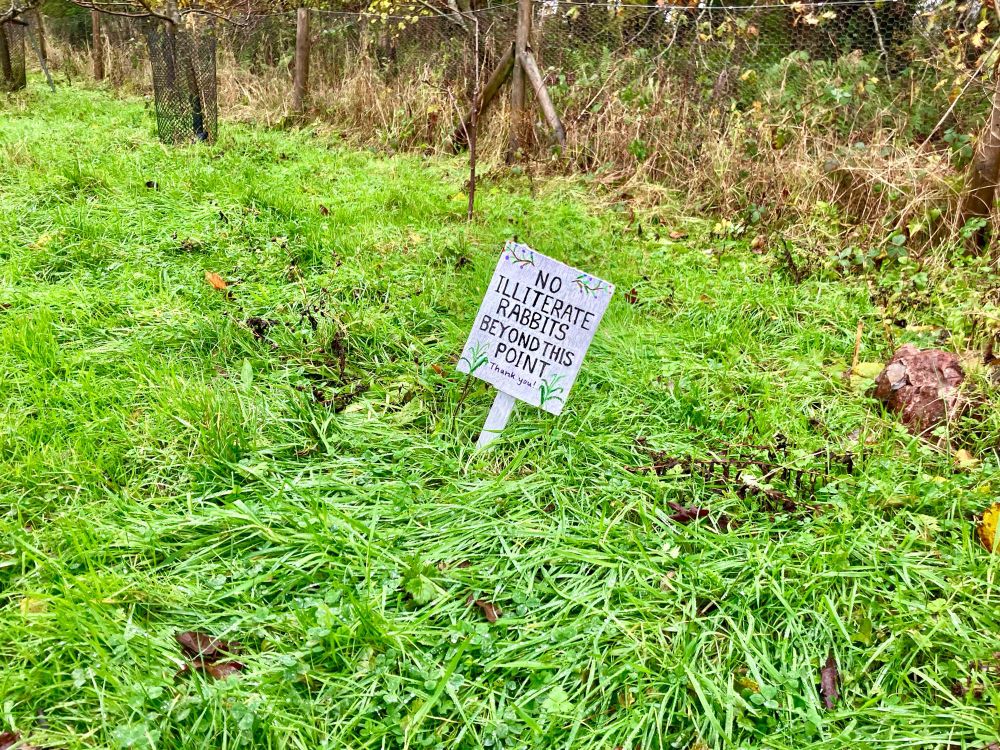 A sign in a field that says ‘No Illiterate Rabbits Beyond this Point’.