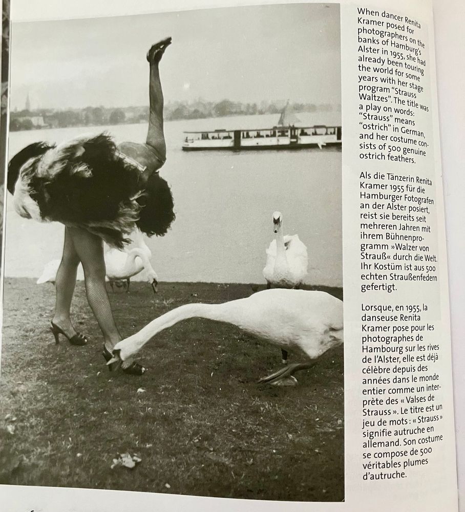 A female dancer, presented as an ostrich, is near some swans by a body of water.