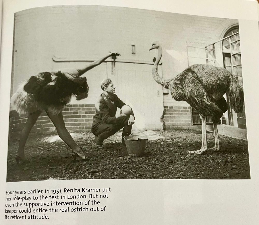 A dancer presents as an ostrich and is turned toward an actual ostrich.
