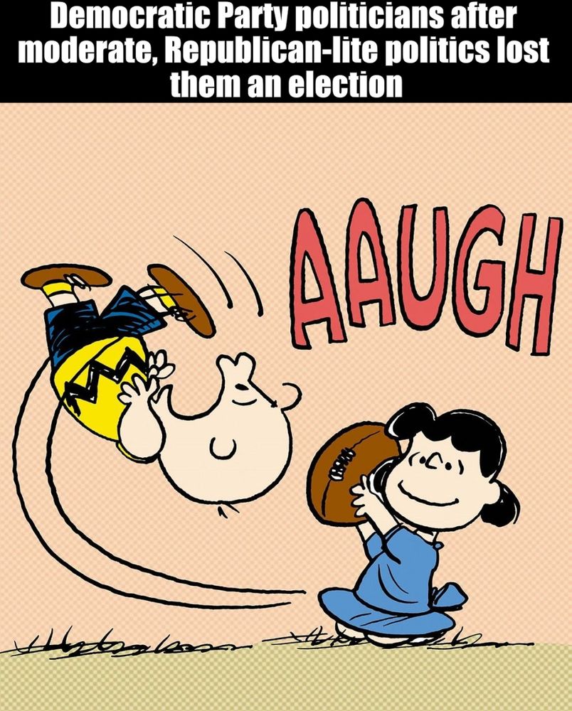 A meme captioned "Democratic Party politicians after moderate Republican-lite politics lost them an election". The image is Charlie Brown, after getting fooled by Lucy's football trick for yet another time. 